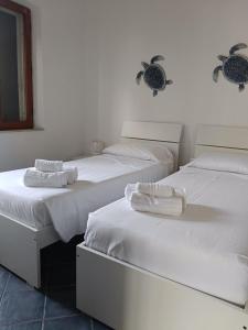 Trilo Lu Rattali img19