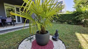 Appartements Royan - APPARTEMENT en rez-de-chaussee amenage avec ELEGANCE - jardin privatif : photos des chambres