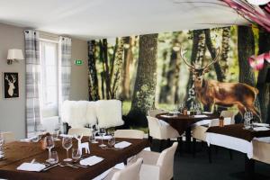 B&B / Chambres d'hotes Auberge du Chasseur : photos des chambres