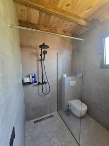 CabinAtRiver Ada Bojana