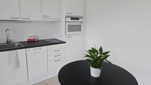 Modern Luxury Apartment Helsinki