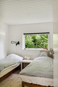 Unique House Near Ancient North Forest