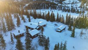 Cabin With Sauna In Vegglifjell