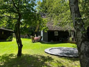 Be Surrounded By Trees In A Thatched Cottage