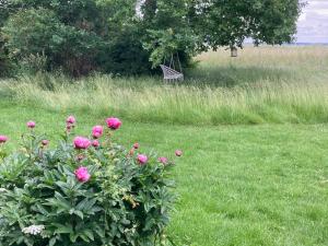 Cozy Forest House With Fjord View Near Jægerspris