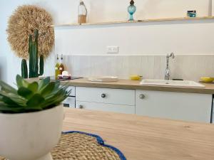 Appartements Casa Azul Patio,Wifi, Clim : photos des chambres