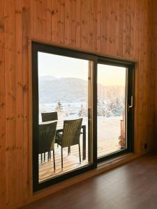 Cabin Embraced By Extrairdinary Nature