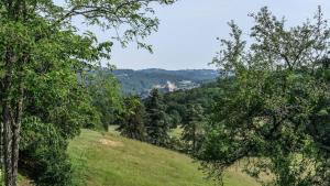 Maisons de vacances Historic Estate Overlooking The Dordogne : photos des chambres