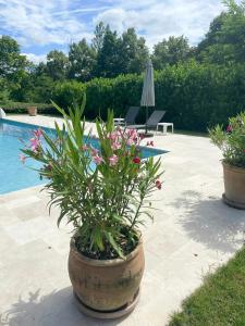 Maisons de vacances Stone Manor House In Quercy : photos des chambres