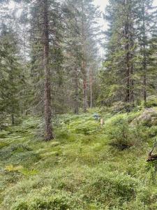 Rustic Cottage For Creative Souls By Lake Lingbo