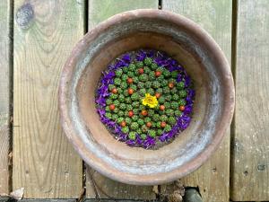 Lovely House Near Nature And Beach