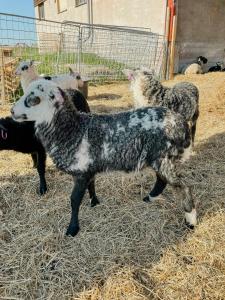 Rustic Cottage For Creative Souls By Lake Lingbo