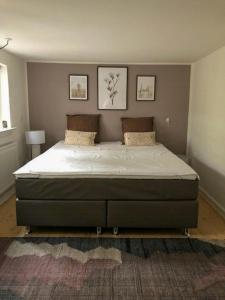 Country House With Large Garden On Langeland