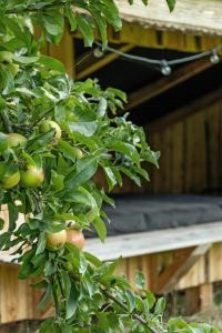 Open Spaces And Cozy Corners In Ristinge