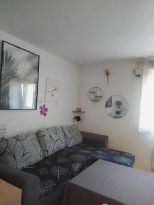 Appartements Spacieux studio entre mer et montagne : Appartement 1 Chambre