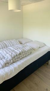 Modern Cottage Near North Zealands Beaches