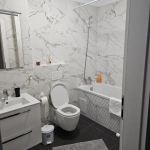 Apartament Royal lux Arad
