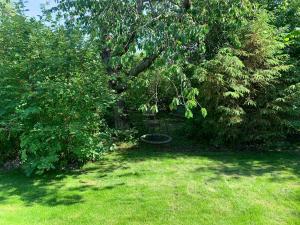 Modern Cottage Near North Zealands Beaches
