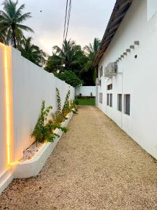 Tulivu Zanzibar