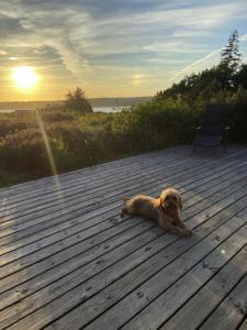 Nature-Rich Oasis With Views Over The Limfjord