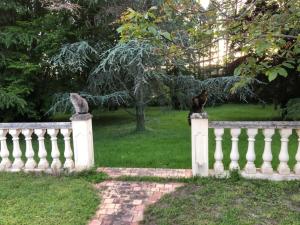 Maisons de vacances Modern Gite In The Heart Of Chateau De Champagnat : photos des chambres