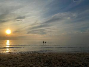 Peaceful Spot With Garden Near Rågeleje Beach