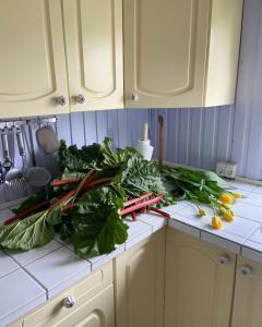 Nordic Style And Nature Between Sea And Sky