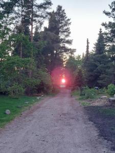 Cottage In Woodland Garden In Natural Harmony