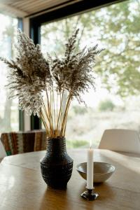 Feel The Nature Inside In Architect-Designed Gem