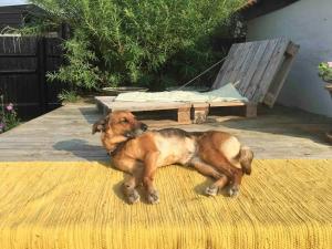 In Cold Hawaii With Beach In Backyard