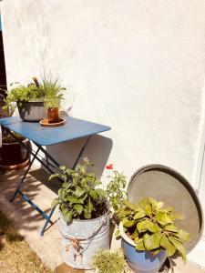 In Cold Hawaii With Beach In Backyard