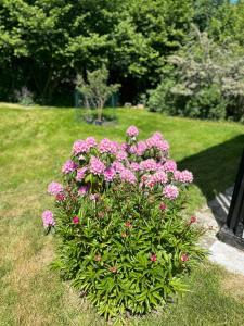 Nordic Style And Light In Rågeleje Home