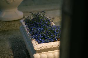 Tepelena Center Hotel