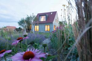 Architectural Gem On The Cornfield