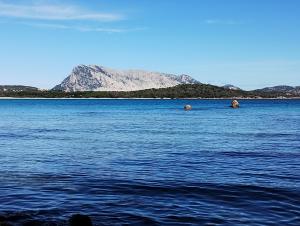 Bilo Lu Rattali img34