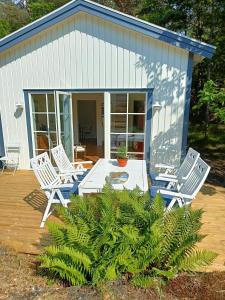 Charming House Next To Forest And Sea