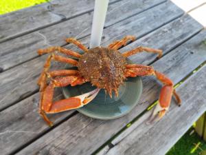 Penty près de la mer