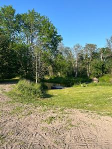 Bäcks Bed & Breakfast