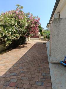 Bilo Lu Rattali img28