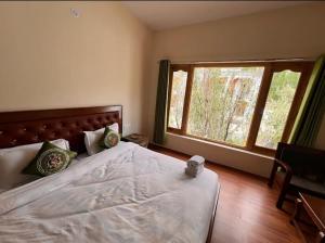 Mountain muse bnb