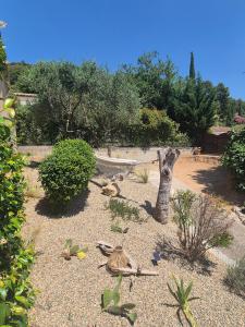 Maisons de vacances Gites Colline De Sollies : photos des chambres