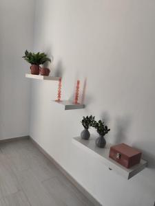 Seaside Soul-Sunset Comfort Home