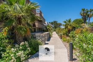 Appartements Appartement avec grande terrasse et spa a Lattes : photos des chambres
