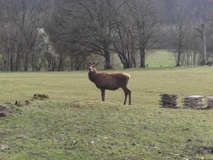 Domaine du Val Bruant