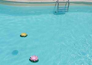 Eclissi casa vacanza LUNA