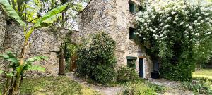 Maisons de vacances Gite du grand cedre : photos des chambres