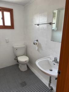 Forest at Seoul forest