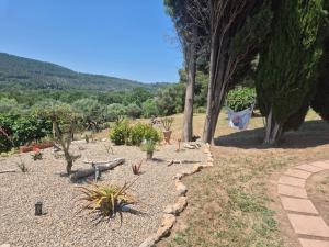 Maisons de vacances Gites Colline De Sollies : photos des chambres