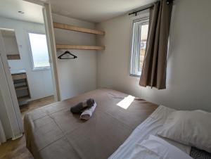 B&B / Chambres d'hotes Gite - Chez Gabriel et Julie : photos des chambres