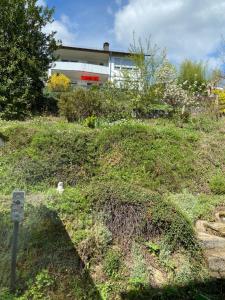 Ferienhaus - Villa kunterbunt